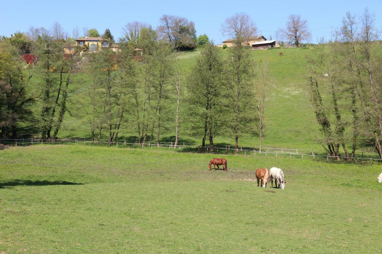 Le Vallon De Saint Andre リモネスト エクステリア 写真